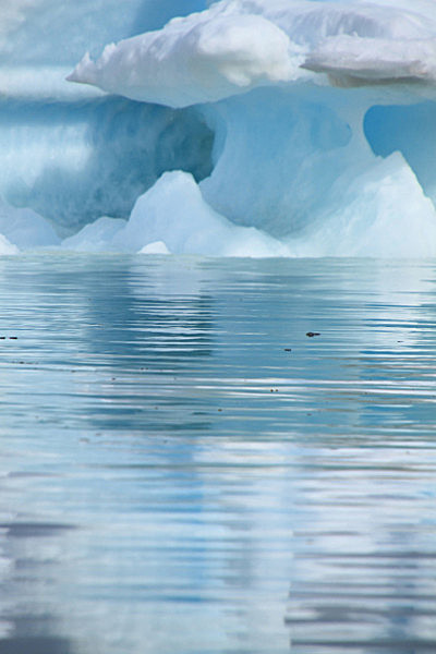 IMG_7183_2_2 - SVALBARD 2013