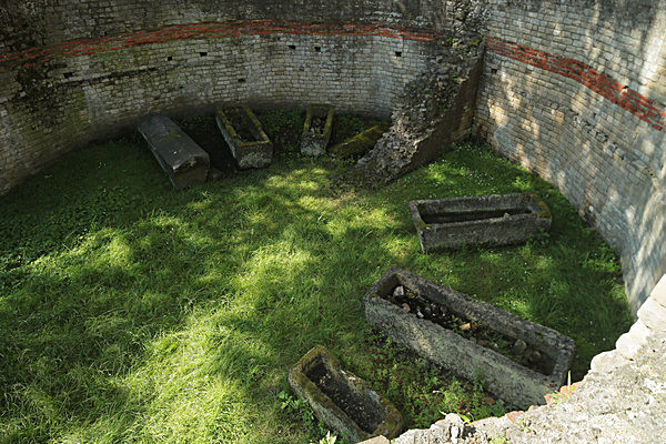 IMGL7790 - MUSEUM GARDENS