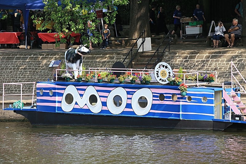 BV6R1399 - DRAGON BOAT RACES 2015 York Rotary Club