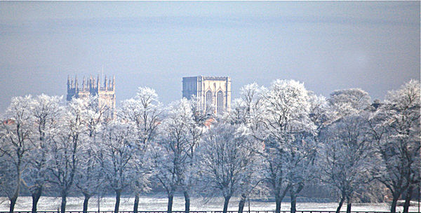 IMG_2118 MINSTER AND FROSTED TREES FROM YORK KNAVESMIRE copy 3 - YORK SNOW 2008