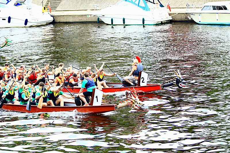 BV6R4322 - DRAGON BOAT RACE 2017