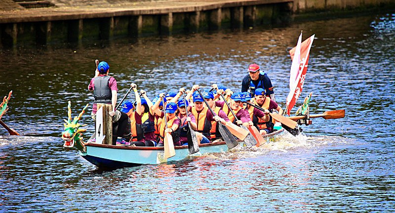 DRAGON BOAT RACE 10 July 2016 - 231 of 549 - DRAGON BOAT RACES 2016 York Rotary Club