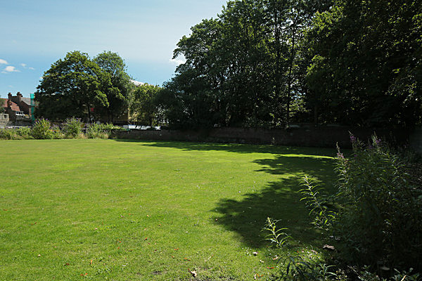 IMGL7885 - MUSEUM GARDENS