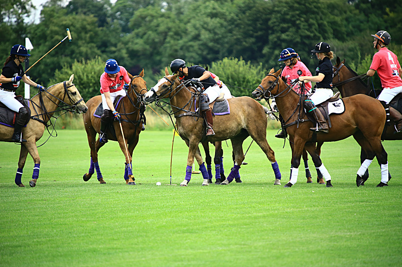 BV6R6783 - WHITE ROSE POLO CLUB LADIES DAY