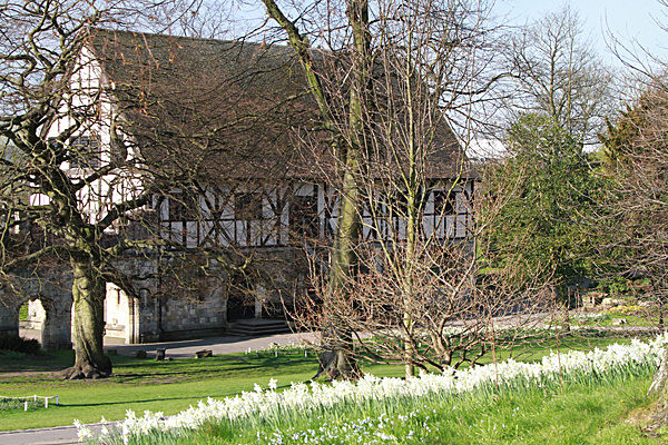 5809781 - MUSEUM GARDENS
