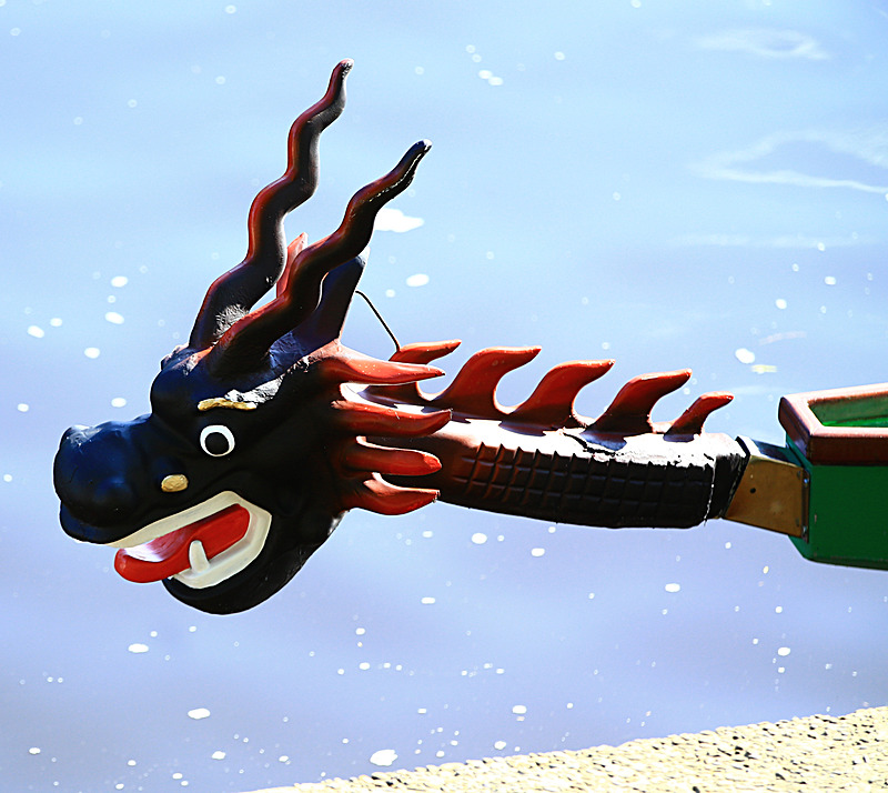 BV6R4169 - DRAGON BOAT RACE 2017