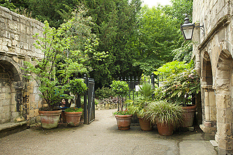 JUNE 2014   -3 - FOUR SEASONS MUSEUM GARDENS