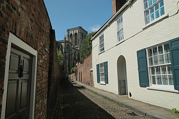IMGL7931 - MUSEUM GARDENS