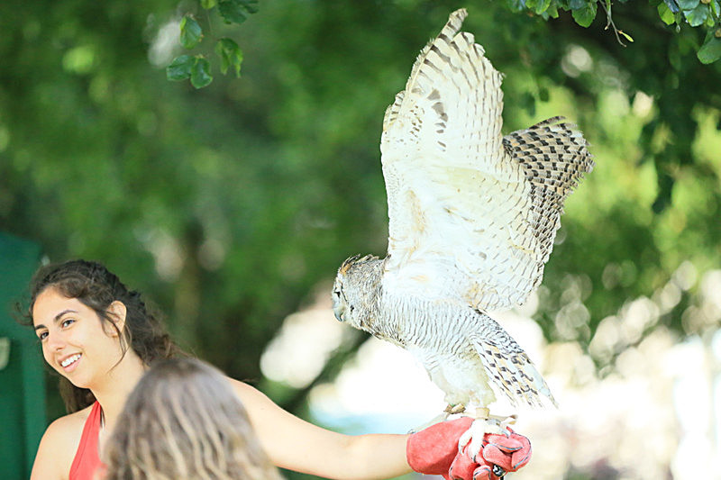 JULY 2014 - FOUR SEASONS MUSEUM GARDENS