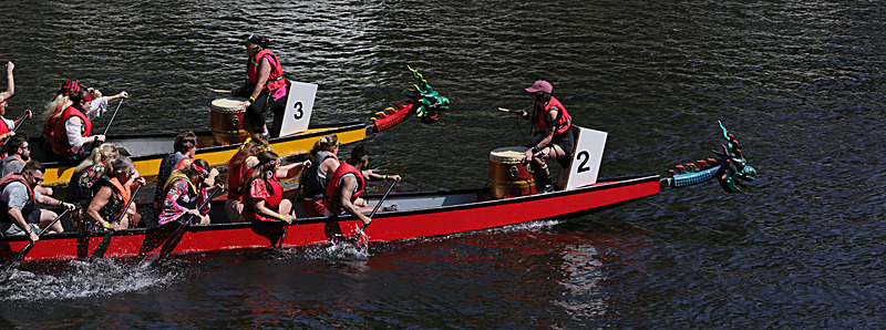 THE YORK ROTARY DRAGON BOAT CHALLENGE 2026 - 209 of 426 - DRAGON BOAT RACE 2026. York Rotary Club.