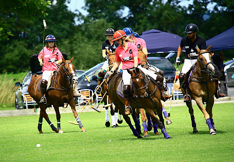 BV6R6810 1 - WHITE ROSE POLO CLUB LADIES DAY