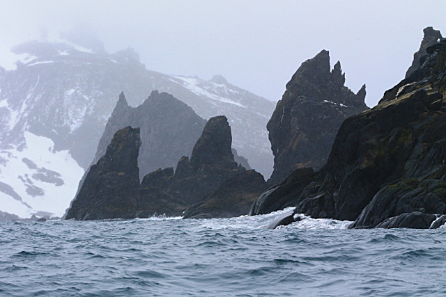  - ANTARCTICA NOV 2014