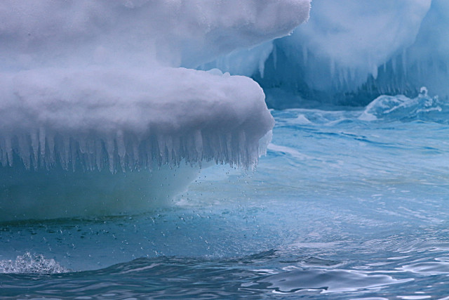  - ANTARCTICA NOV 2014