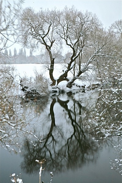 IMG_0735_2 FROSTED REFLECTIONS RIVER OUSE FROM CLIFTON BRIDGE YORK - YORK SNOW 2013