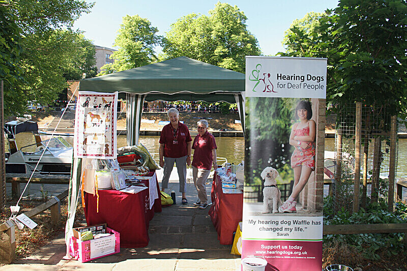 IMG_8135 - DRAGON BOAT RACE  2022