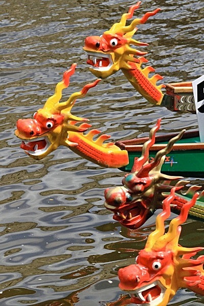 IMG_1355 - DRAGON BOAT RACE 2011 York Rotary Club