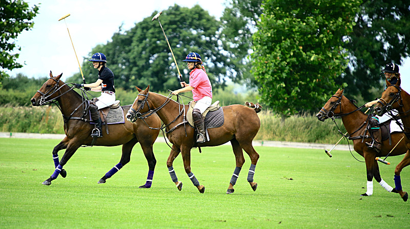 BV6R6801 - WHITE ROSE POLO CLUB LADIES DAY