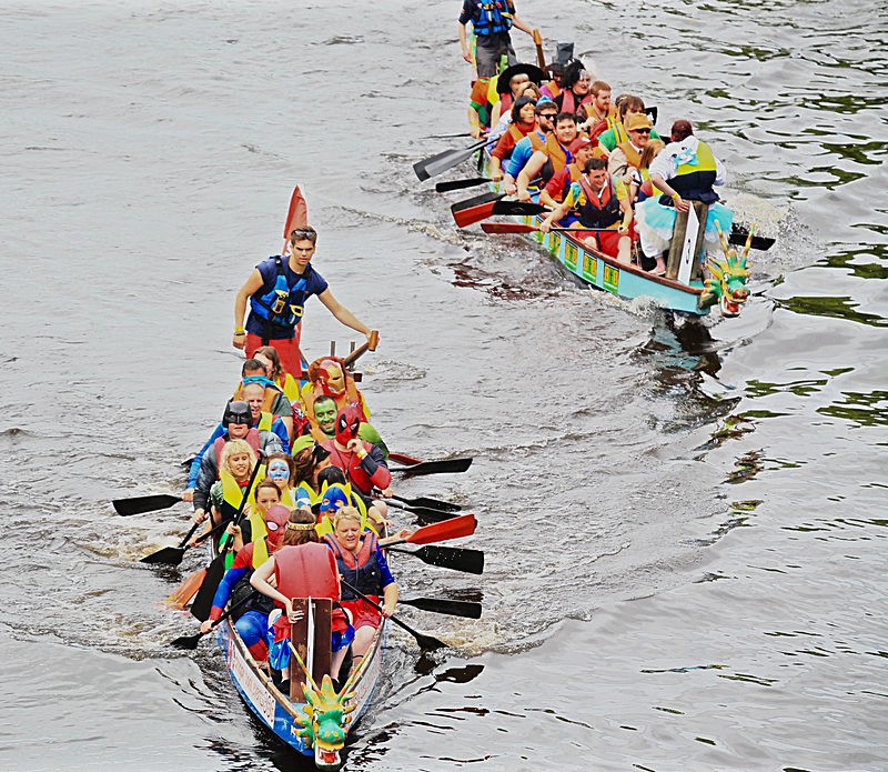 DRAGON BOAT RACE 10 July 2016 - 189 of 549 - DRAGON BOAT RACES 2016 York Rotary Club