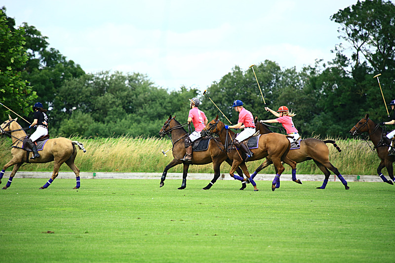 BV6R6819 - WHITE ROSE POLO CLUB LADIES DAY