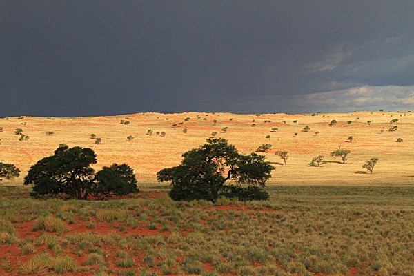 IMG_4684 - NAMIBIA 2012