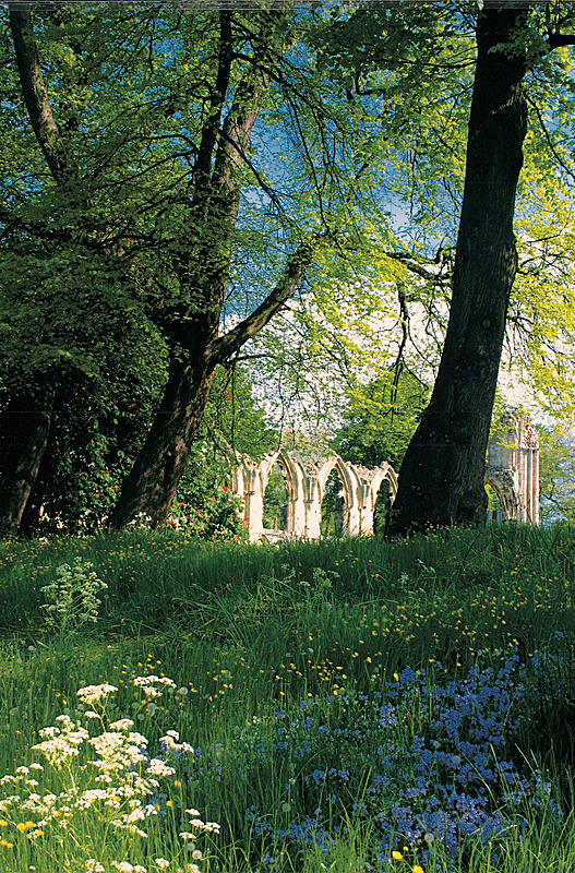 MAY 2007 - FOUR SEASONS MUSEUM GARDENS
