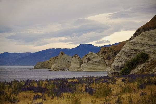 KAIKURA BEACH - NEW ZEALAND