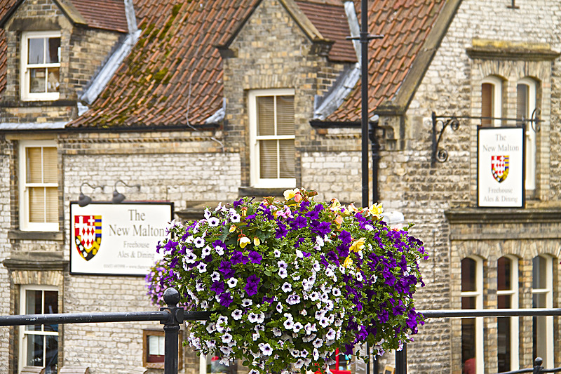 IMG_7484 - MALTON IN BLOOM 2017