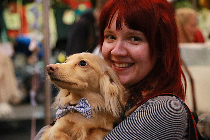 BV6R9459 - TEDDY MAXIMUS at Crufts March 2016. https://teddymaximus.com/