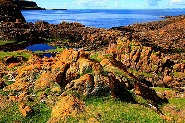 IMG_7336_2 - SCOTLAND 2010