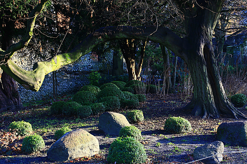 DECEMBER  2014  -4 - FOUR SEASONS MUSEUM GARDENS
