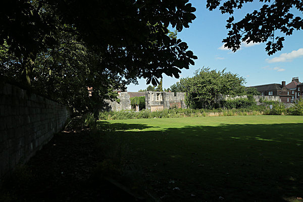 IMGL7886 - MUSEUM GARDENS