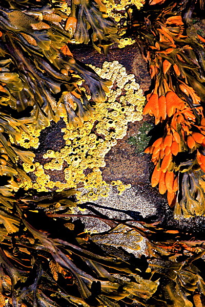 20100826_0175_2 - SCOTLAND 2010