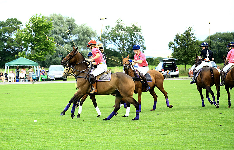 BV6R6786 - WHITE ROSE POLO CLUB LADIES DAY