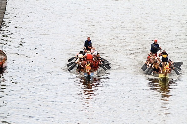 IMG_1478 - DRAGON BOAT RACE 2011 York Rotary Club