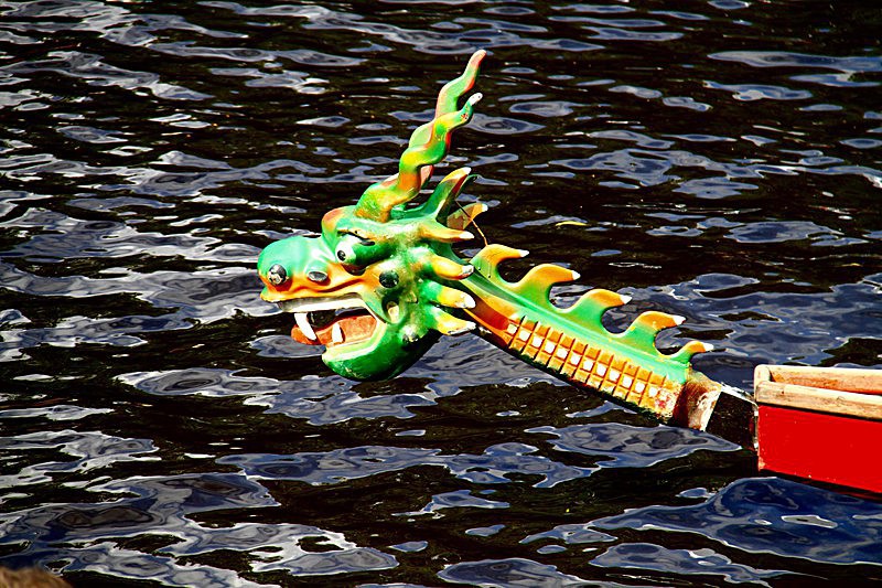 DRAGON BOAT RACE 10 July 2016 - 441 of 549 - DRAGON BOAT RACES 2016 York Rotary Club