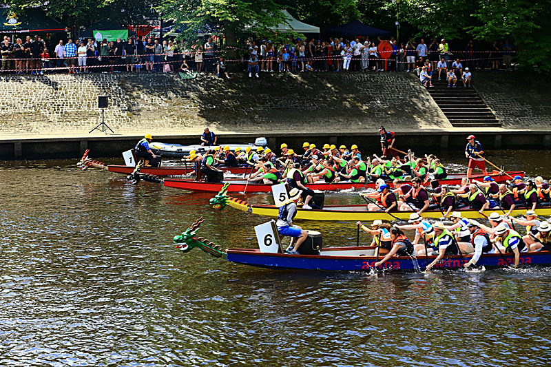 BV6R4351 - DRAGON BOAT RACE 2017