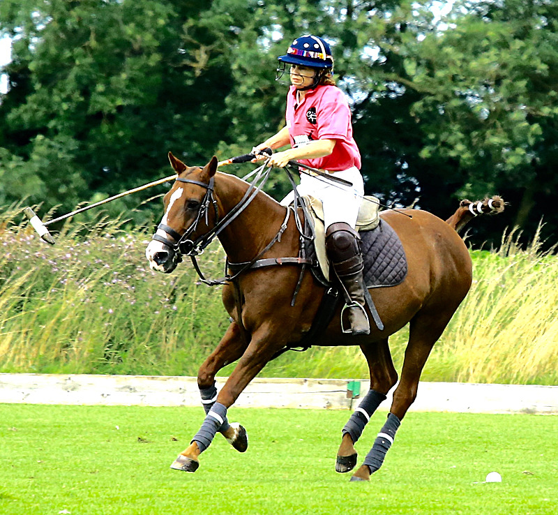 BV6R6767 1 - WHITE ROSE POLO CLUB LADIES DAY