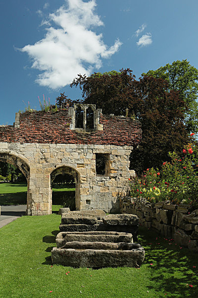 IMGL7863 - MUSEUM GARDENS