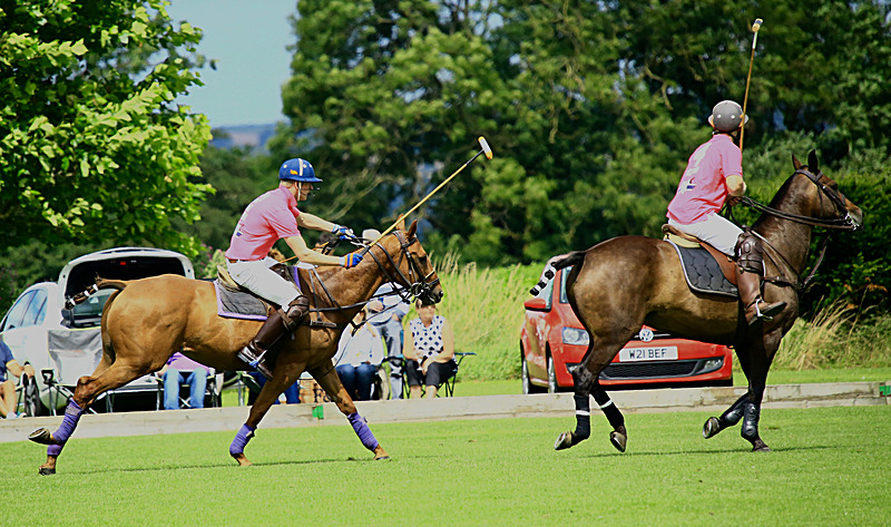 BV6R6775 - WHITE ROSE POLO CLUB LADIES DAY