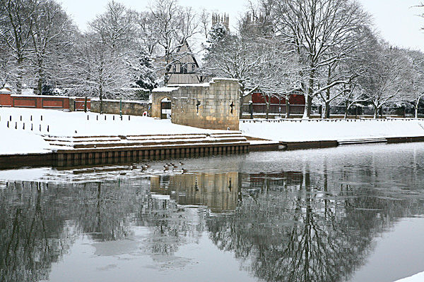 IMG_0495 - MUSEUM GARDENS