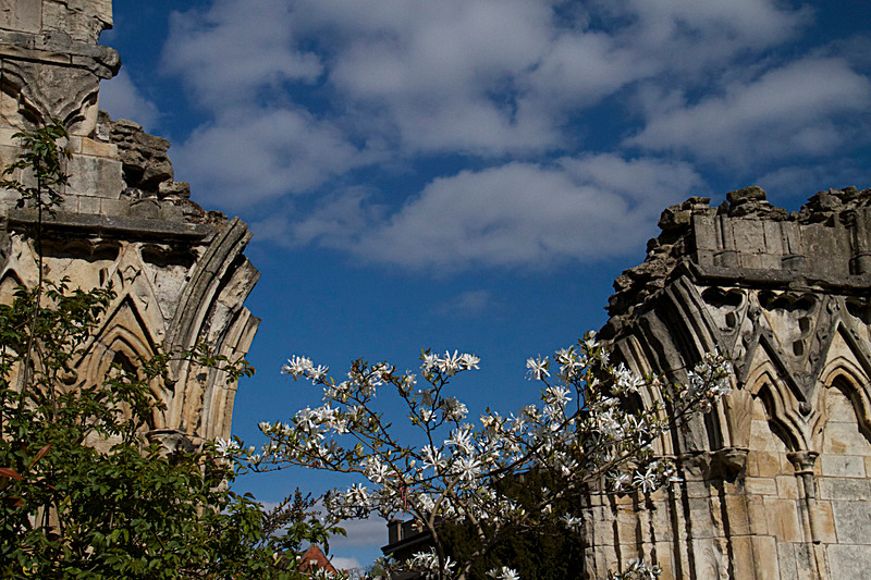 APRIL 2015-12 - FOUR SEASONS MUSEUM GARDENS