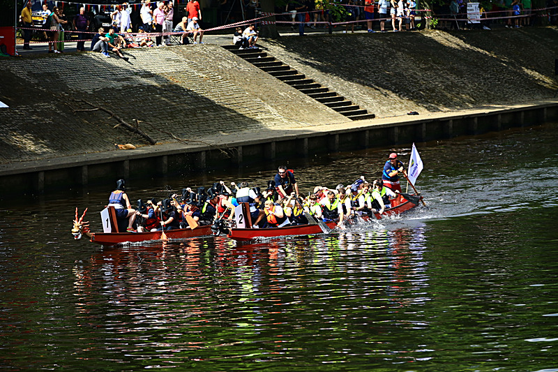 BV6R4254 - DRAGON BOAT RACE 2017