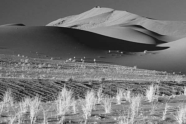 IMG_0674 - NAMIBIA 2012