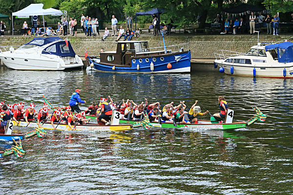 IMGL6539 - DRAGON BOAT RACE 2014 York Rotary Club