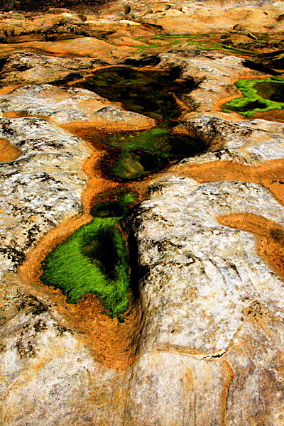 20100826_0190_2 - SCOTLAND 2010