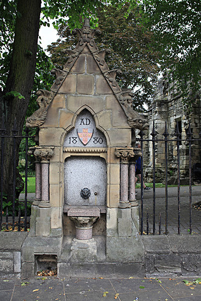 IMG_7478_2 - MUSEUM GARDENS