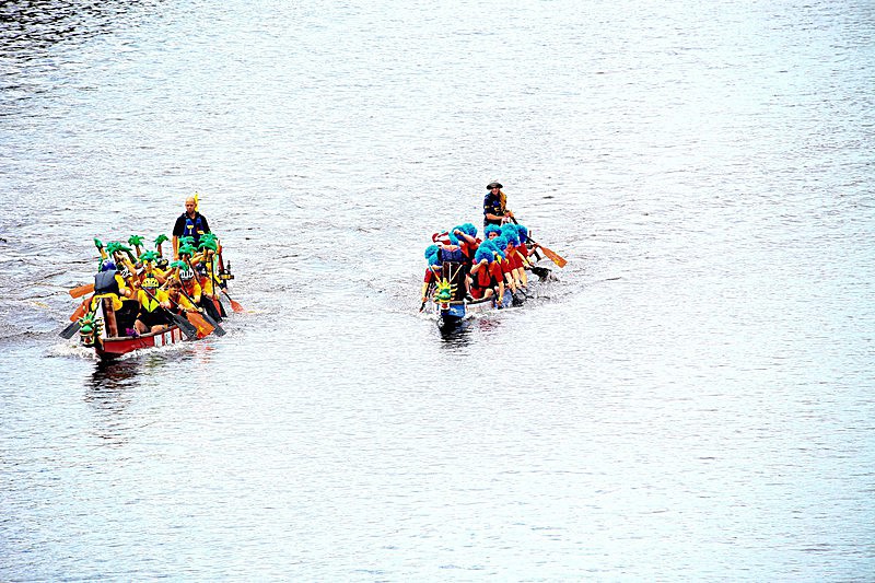 DRAGON BOAT RACE 10 July 2016 - 336 of 549 - DRAGON BOAT RACES 2016 York Rotary Club