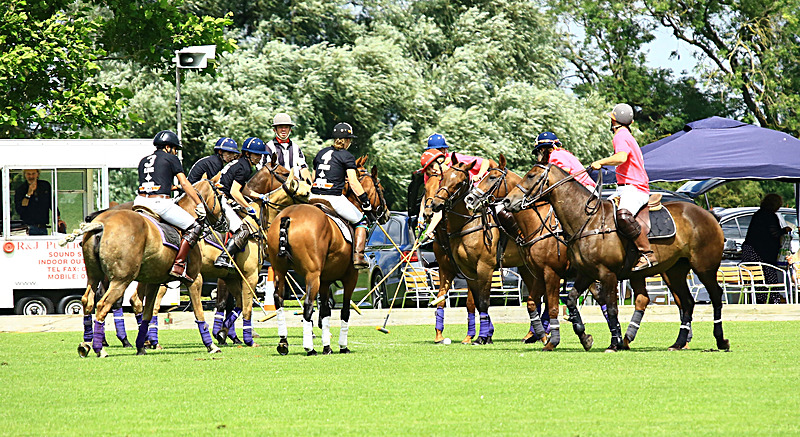 BV6R6770 - WHITE ROSE POLO CLUB LADIES DAY
