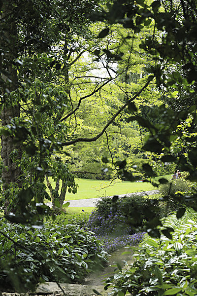 IMGL5711 - MUSEUM GARDENS