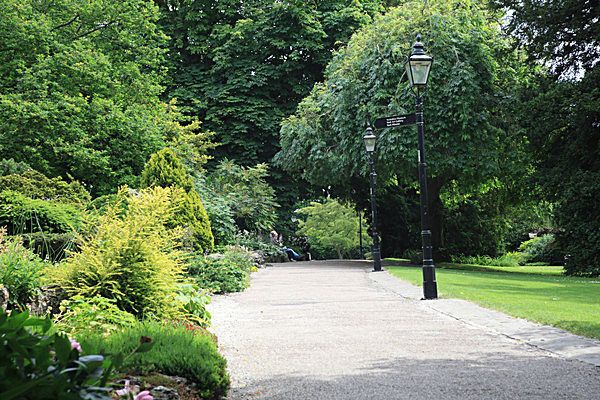 IMG_7546 - MUSEUM GARDENS